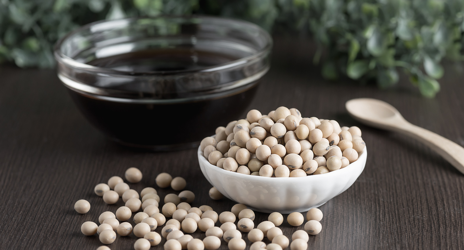 Les secrets de fabrication de la sauce soja à Taiwan Passeurs de Saveurs